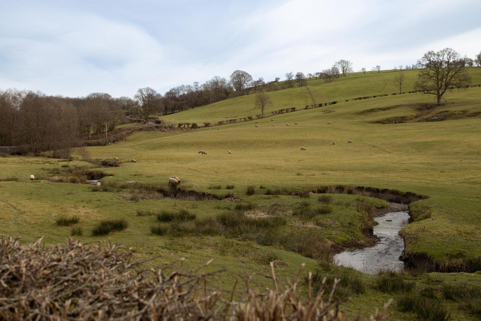 Brecon Beacons Cottage With Stunning Country Views Myddfai Exterior photo